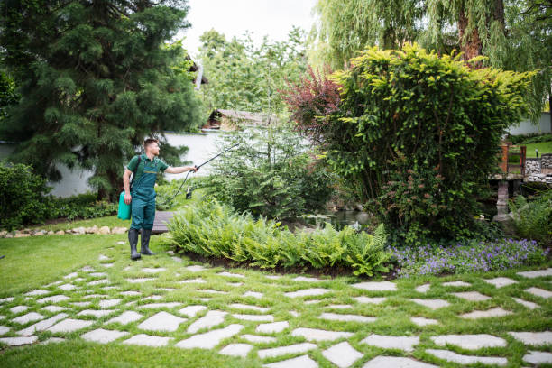 Best Commercial Pest Control Services  in Windsor, MO