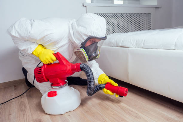Best Emergency Pest Control  in Windsor, MO