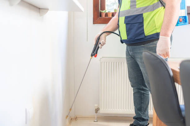 Best Flea Control Services  in Windsor, MO