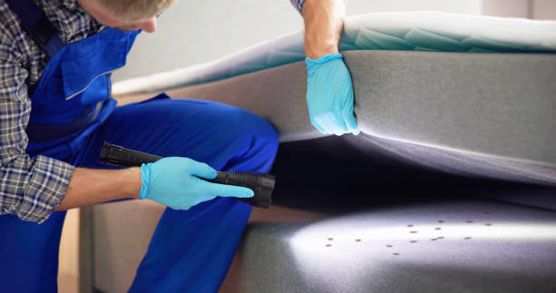 Windsor, MO Pest Control Company