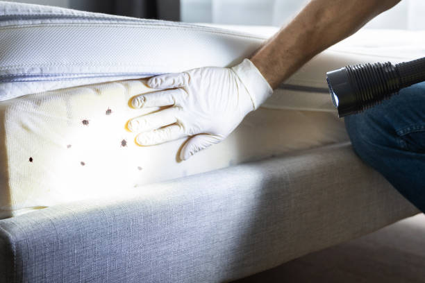 Best Best Pest Control Companies  in Windsor, MO