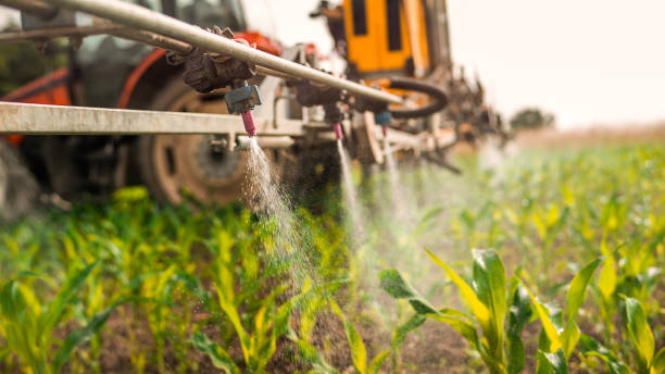 Best Pest Removal Services  in Windsor, MO